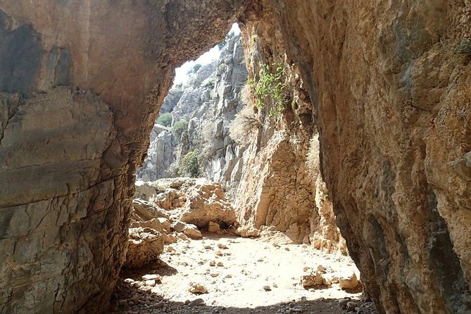 Imbros Gorge and Sfakia Full-Day Hiking Tour From Chania - Included Services