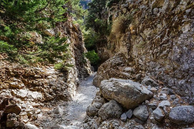 Imbros Gorge and Sfakia Full-Day Hiking Tour From Chania - Meeting and Pickup