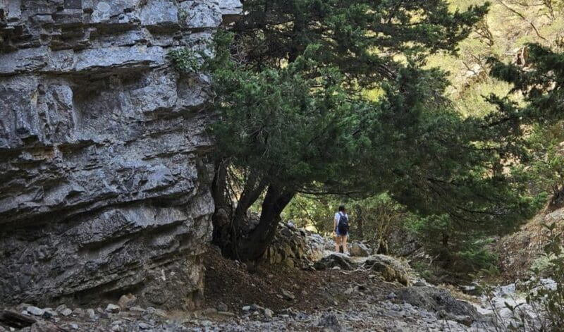 Imbros Gorge: Walk the Trail, Live the Story Private Tour - Who this tour is perfect for