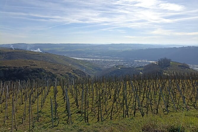 Immersion Domaine E.GUIGAL Visit wine cellars and tasting - A Genuine Look at the Domaine E. Guigal Wine Experience