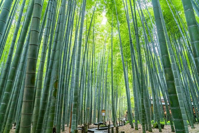 Immersive Zazen Experience Kamakura Tour From Tokyo With Pickup - Pickup Information