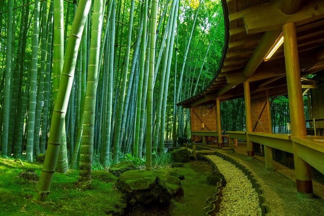 Immersive Zazen Experience Kamakura Tour From Tokyo With Pickup - Exploring Kamakura