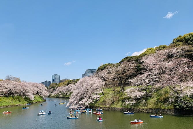 Imperial Palace and Heritage of Edo Castle Private Tour - Accessibility and Participation