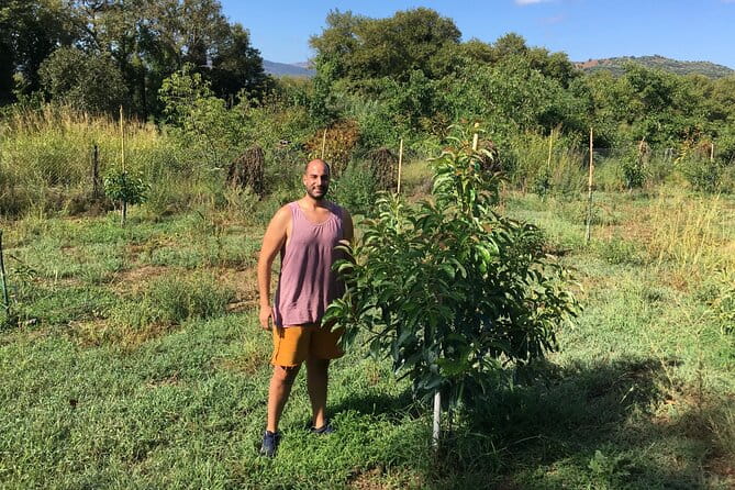 In Crete Discover the miracle of Olive Oil and Organic Fruits - Final Thoughts: Is It Worth It?