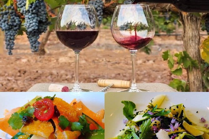 In Depth Chateauneuf-du-Pape - Key points / Takeaways