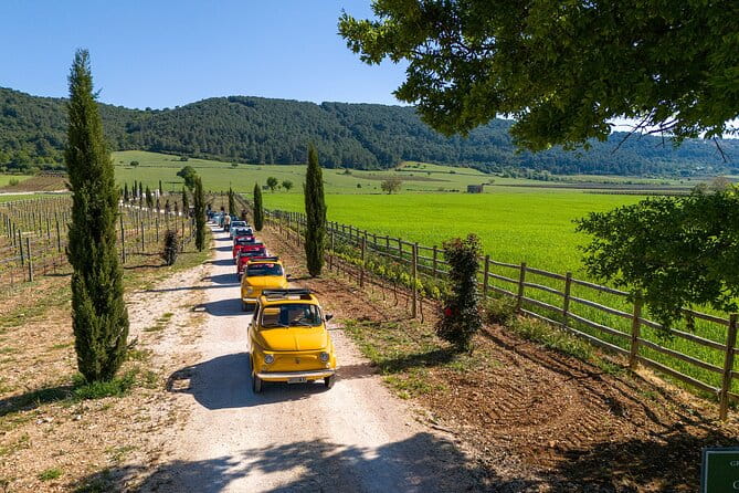 In Valle d'Itria on a vintage Fiat 500. Photo Quest Tour - Price and Value: Is It Worth It?
