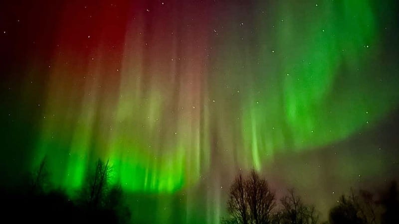 Inari/Ivalo: Aurora Hunting Tour by Car with Warm Drinks - Exploring the Arctic Wilderness in Comfort and Style