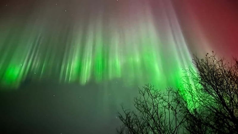 Inari/Ivalo: Aurora Hunting Tour by Car with Warm Drinks - Price and Value Considerations