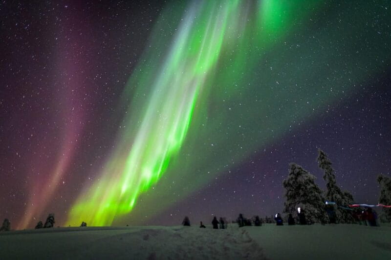 Inari: Northern Lights Hunt Snowmobile Safari - Key points / Takeaways