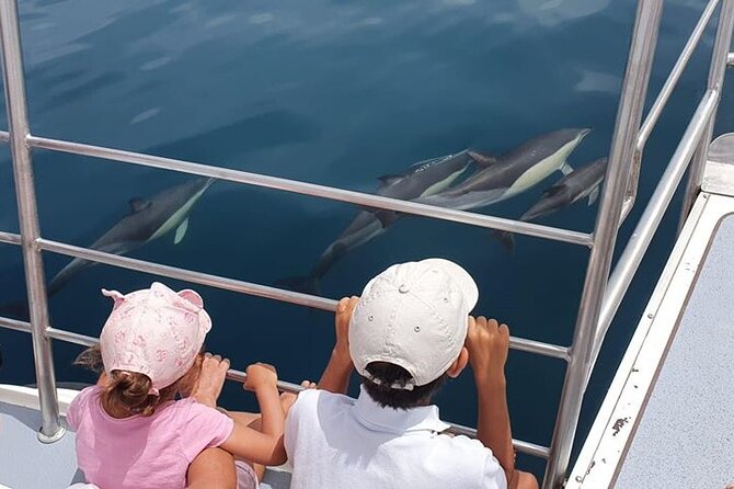 Incredible Dolphin Watching Experience on Our Family Friendly Catamaran - Lagos - Key Points