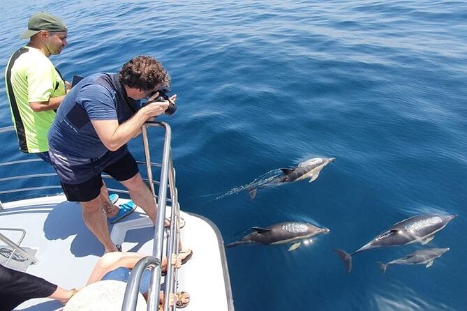 Incredible Dolphin Watching Experience on Our Family Friendly Catamaran - Lagos - Highlights of the Catamaran Tour