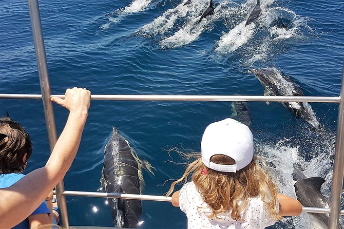 Incredible Dolphin Watching Experience on Our Family Friendly Catamaran - Lagos - Exploring the Waters off Lagos
