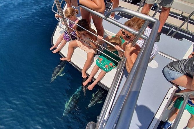Incredible Dolphin Watching Experience on Our Family Friendly Catamaran - Lagos - Spotting Dolphins and Whales