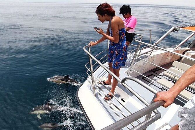 Incredible Dolphin Watching Experience on Our Family Friendly Catamaran - Lagos - Accessible for All Visitors