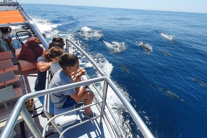 Incredible Dolphin Watching Experience on Our Family Friendly Catamaran - Lagos - Morning and Afternoon Options