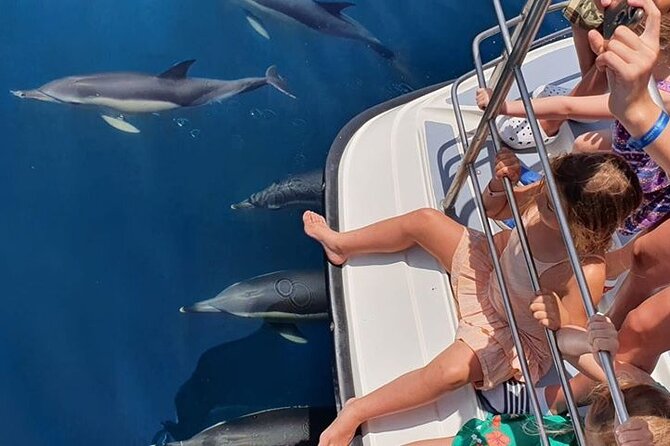 Incredible Dolphin Watching Experience on Our Family Friendly Catamaran - Lagos - Whats Included in the Tour