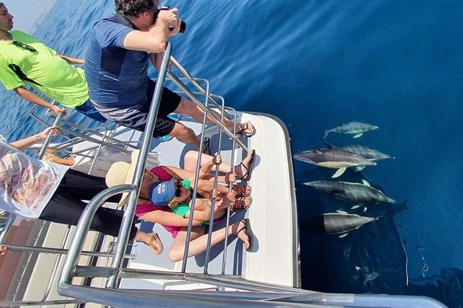 Incredible Dolphin Watching Experience on Our Family Friendly Catamaran - Lagos - Meeting and Departure Details