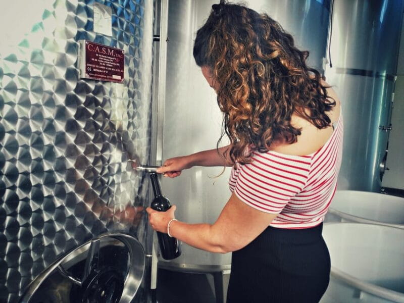 Incredible experience in a organic company - A Closer Look at a Unique Sicilian Wine Experience