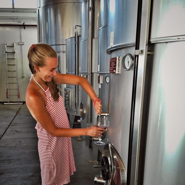 Incredible experience in a organic company - How This Tour Stands Out in Sicily