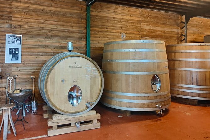 Independent wine tour, cellar and tasting in the vineyards - Introducing a Unique Champagne Adventure in Reims