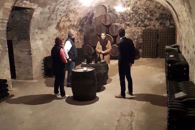 Independent wine tour, cellar and tasting in the vineyards - Who Will Love This Tour?