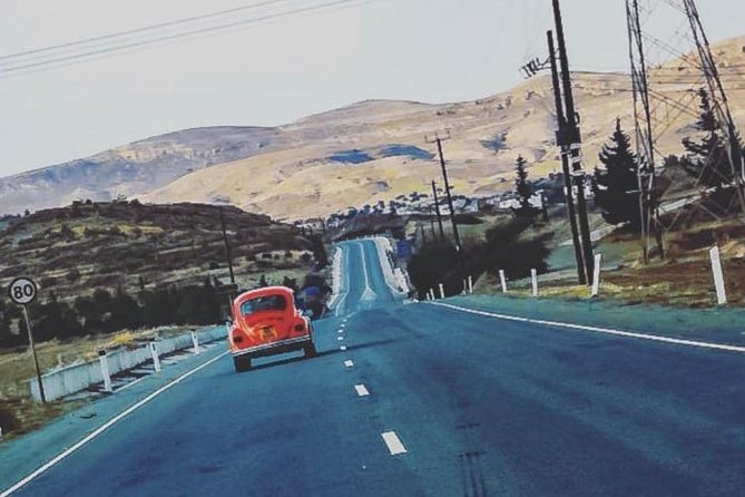 Individual Tours From Paphos - Inclusions and Accessibility