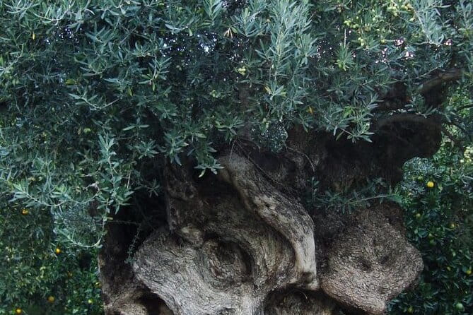 Individual travel accompaniment East Crete - FAQs