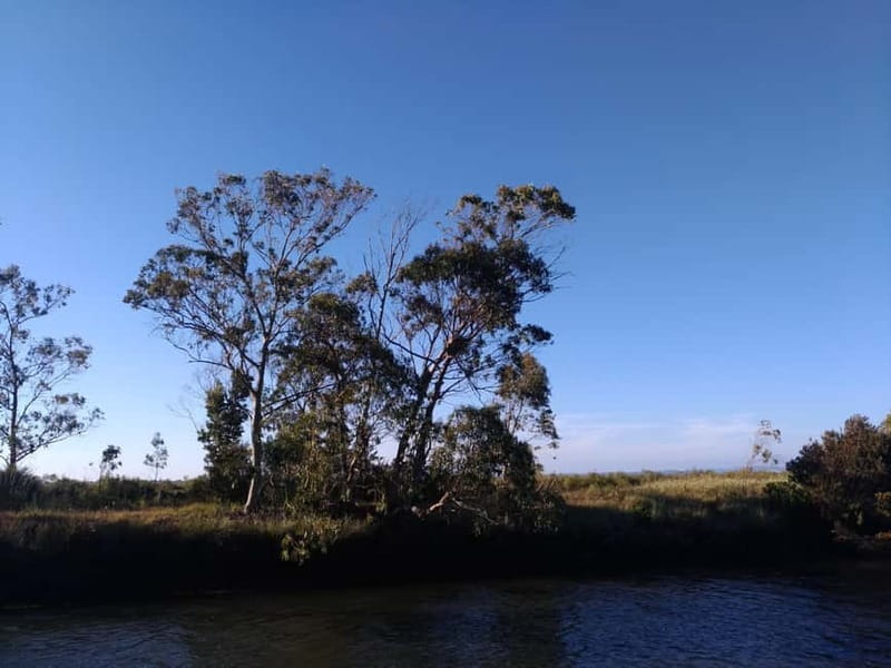 Industry or Nature Boat Tour | Speedboat - Starting at Praias da Ria: A Scenic Launchpad