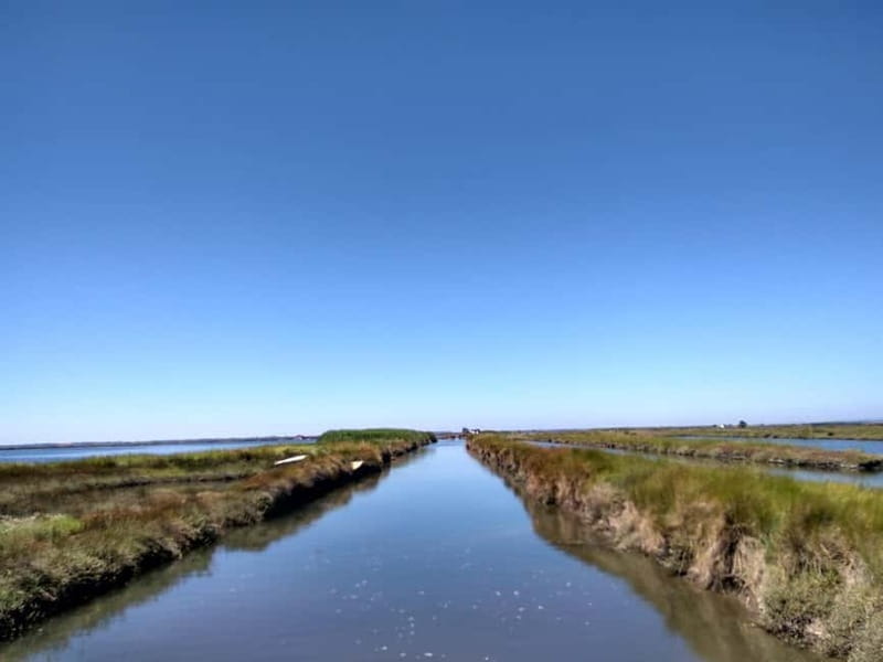 Industry or Nature Boat Tour | Speedboat - The Choice of Routes: Industry or Nature