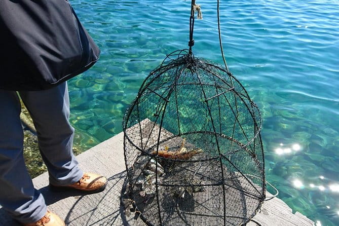 Ine Funaya E-Bike Cycling Tour - Key Points