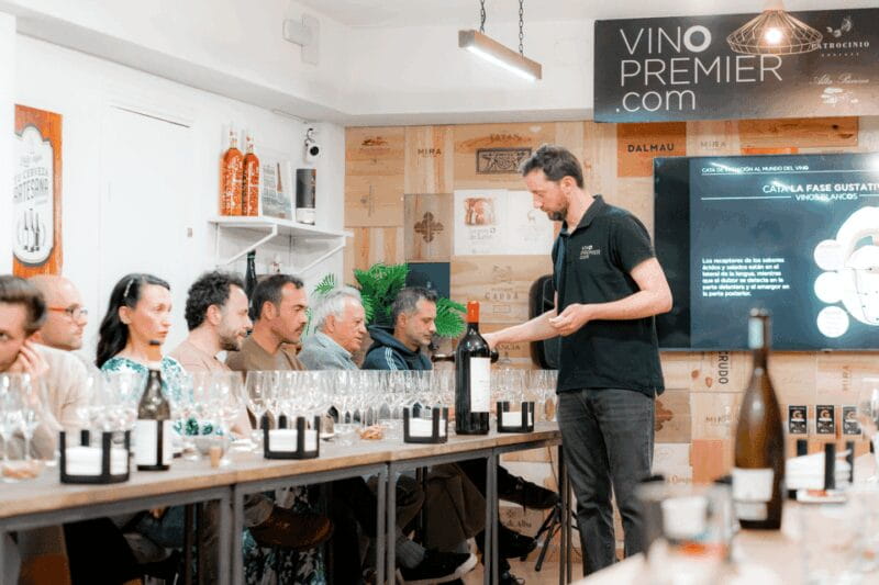 Initiation tasting to the world of wine + tasting of Iberian cured meats - Setting the Scene: A Practical Look at the Experience