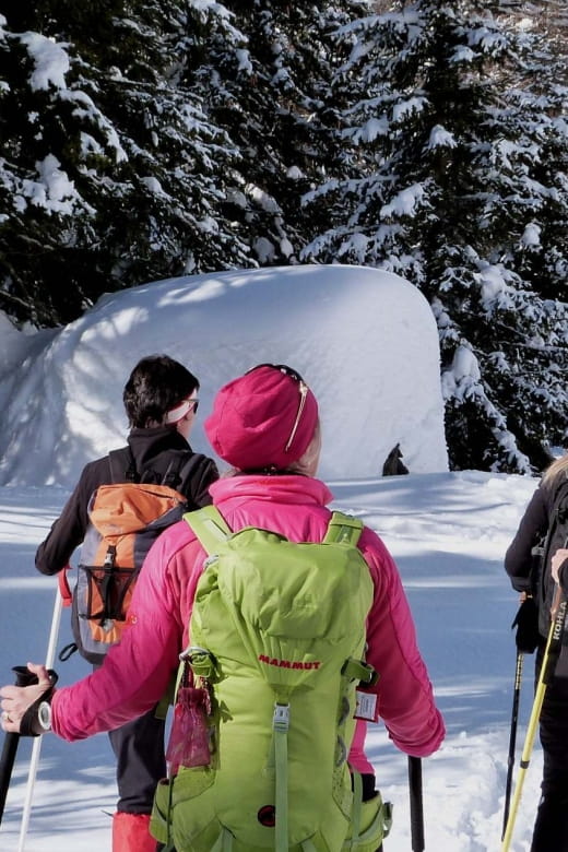 Innsbruck: Private Guided Snowy Mountain Hike / Snowshoes - Inclusion and Exclusions