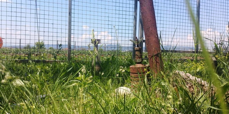 Inside the Siege: Sarajevos Story of Survival - Key Points / Takeaways