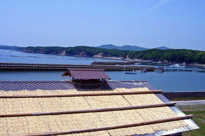 Interacting With Real AMA Divers in a Traditional AMA Hut (Ama Hut HACHIMAN) - Understanding the Challenges Faced by Ama Divers