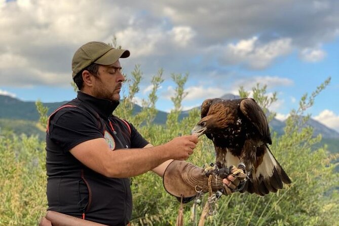 Interactive Path of Birds of Prey - Accessibility