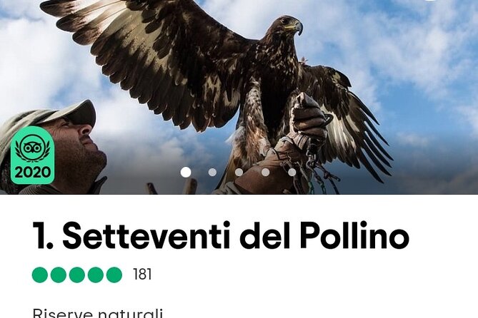 Interactive Path of Birds of Prey - Cancellation Policy