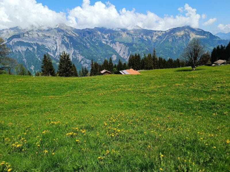 Interlaken: Highlights Tour with a Local by Private Car - What’s on the Itinerary?