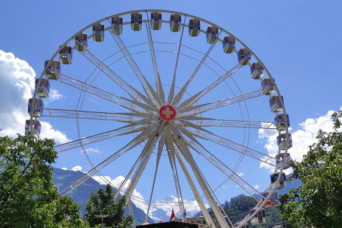 Interlaken Non Stop Intro Safari with CLOY Pier Iseltwald Private - Key points / Takeaways