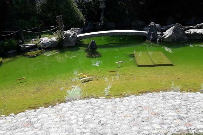 Interlaken Non Stop Intro Safari with CLOY Pier Iseltwald Private - Who Should Book This Tour?