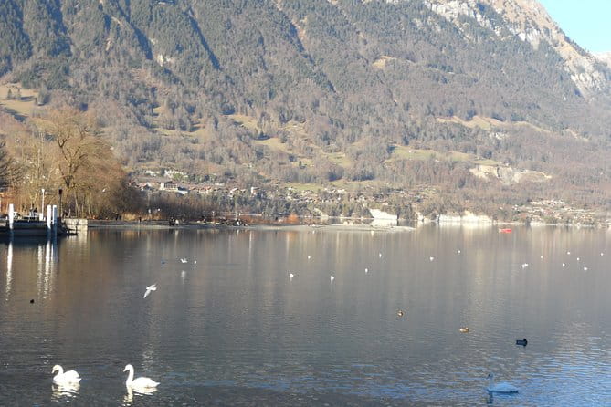 Interlaken Private Tour: Mountains Cows, Thun Lake, and Brienz Lake - Pricing and Logistics: What’s the Value?