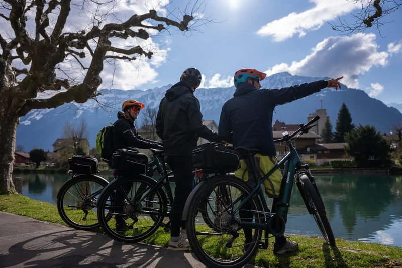 Interlaken: Scenic E-Bike Guided Tour - Who Would Love This Tour?