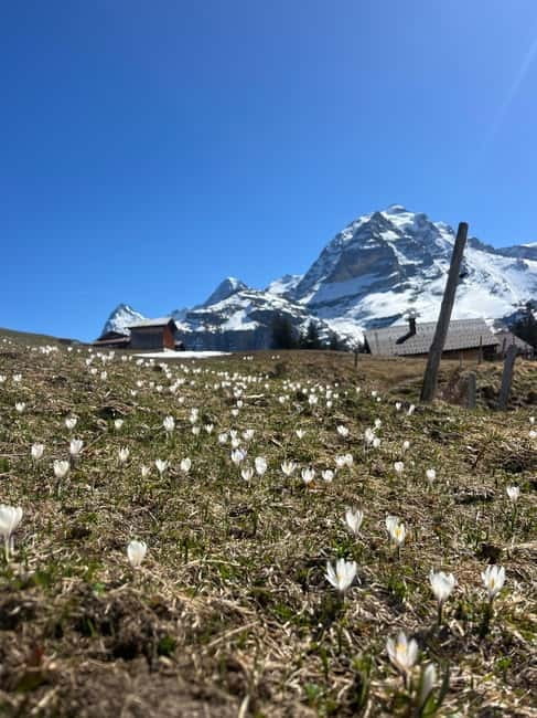 Interlaken: Scenic hiking tour from Mürren to Rotstock hut. - Final Thoughts