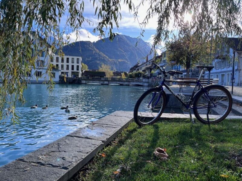 Interlaken Valley E-Bike Tour: Rivers, Lakes & Forests - The Sum Up