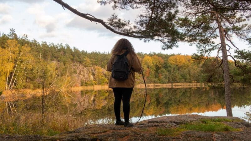 Into the wild - a sensorial experience in Stockholm's woods - Who Should Consider This Experience?