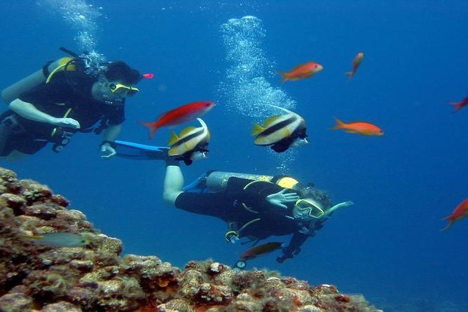 Intro Scuba Diving Beginners Full Day Boat Trip 2 Stops Diving & Lunch– Hurghada - Pickup Details and Logistics