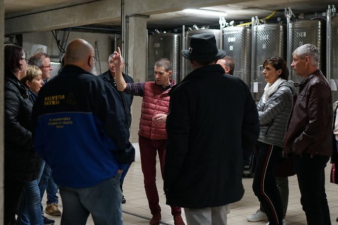 Introduction to Alsace wines - Entering the Heart of Alsace: What the Tour Offers