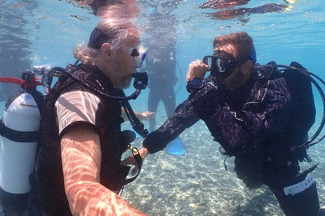Introductory diving in small groups - Who Will Love This?