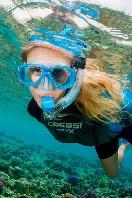 Introductory scuba diving - Price and Logistics: What You Need to Know