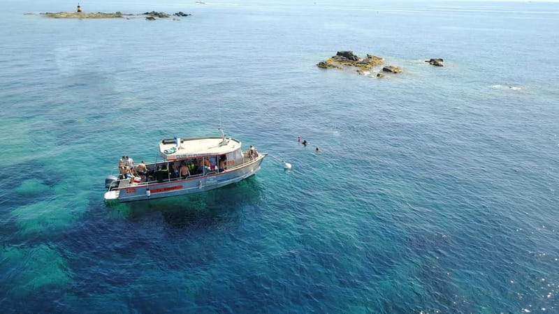 Introductory scuba diving - Who Will Love This?