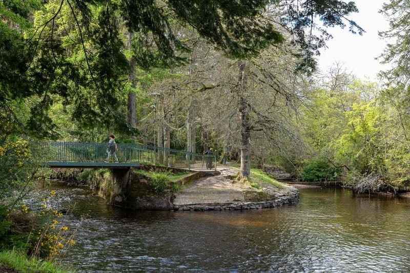 Inverness: Comedy Walking Tour with Local Comedian - Who This Tour Is Best For